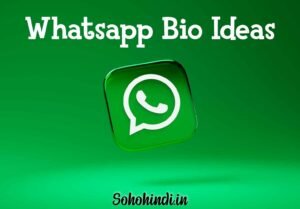 whatsapp bio