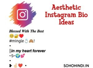 300+ Aesthetic Bio for Instagram 2023 (Copy And Paste)