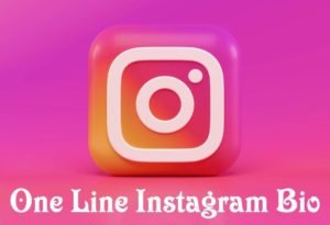 One line bio for instagram
