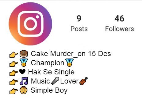 Instagram Birthday Bio Ideas